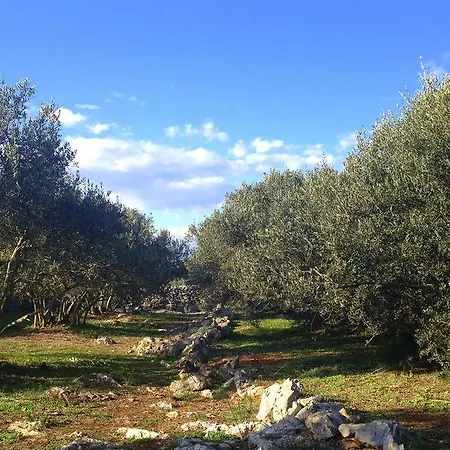 Cortes Gostinjska kuća