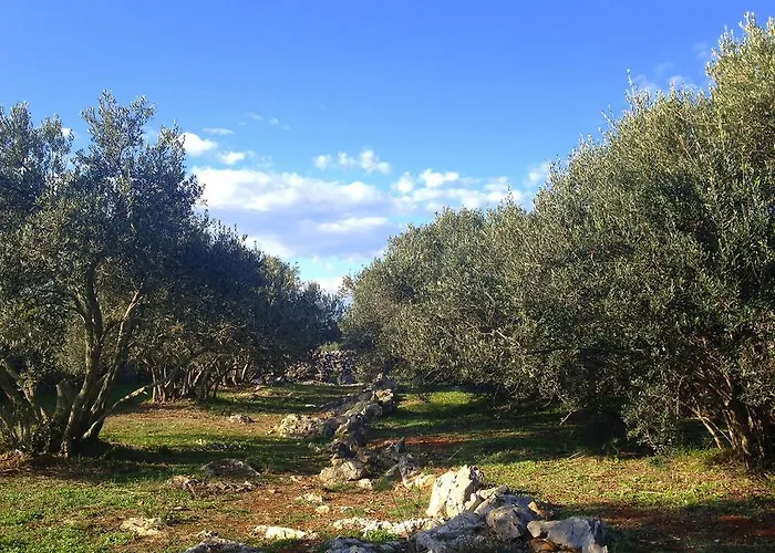 Cortes בית הארחה